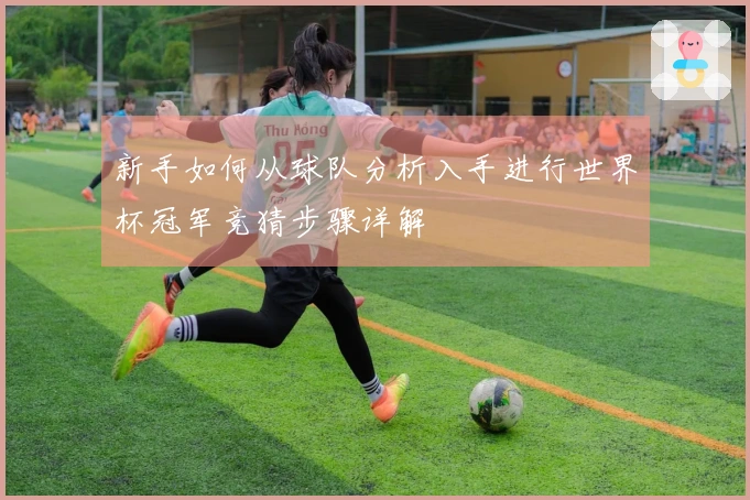 新手如何从球队分析入手进行世界杯冠军竞猜步骤详解