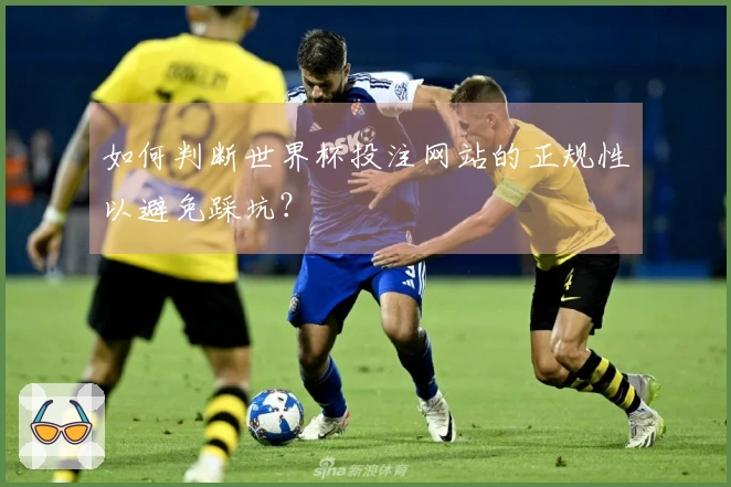 如何判断世界杯投注网站的正规性以避免踩坑？