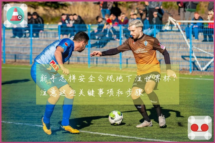 新手怎样安全合规地下注世界杯？注意这些关键事项和步骤