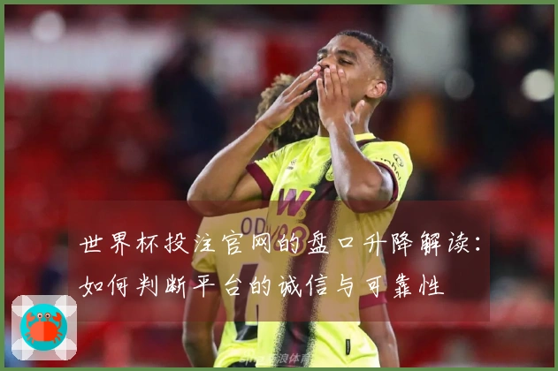 世界杯投注官网的盘口升降解读：如何判断平台的诚信与可靠性