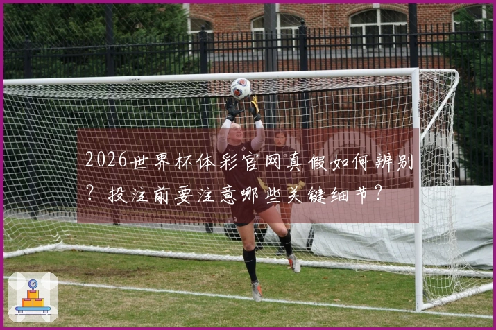 2026世界杯体彩官网真假如何辨别？投注前要注意哪些关键细节？
