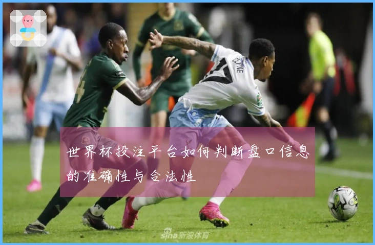 世界杯投注平台如何判断盘口信息的准确性与合法性
