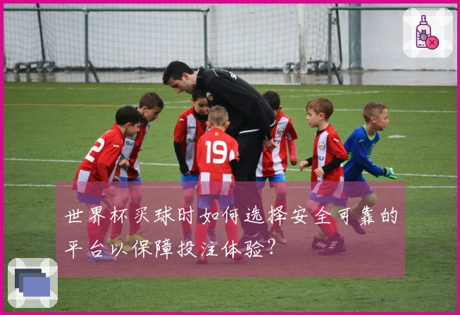 世界杯买球时如何选择安全可靠的平台以保障投注体验？