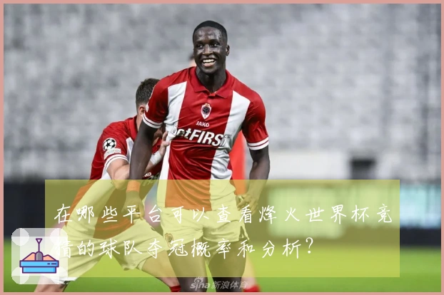 在哪些平台可以查看烽火世界杯竞猜的球队夺冠概率和分析？