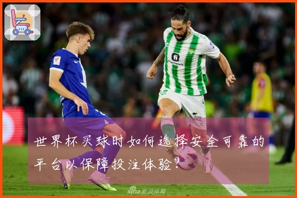 世界杯买球时如何选择安全可靠的平台以保障投注体验？