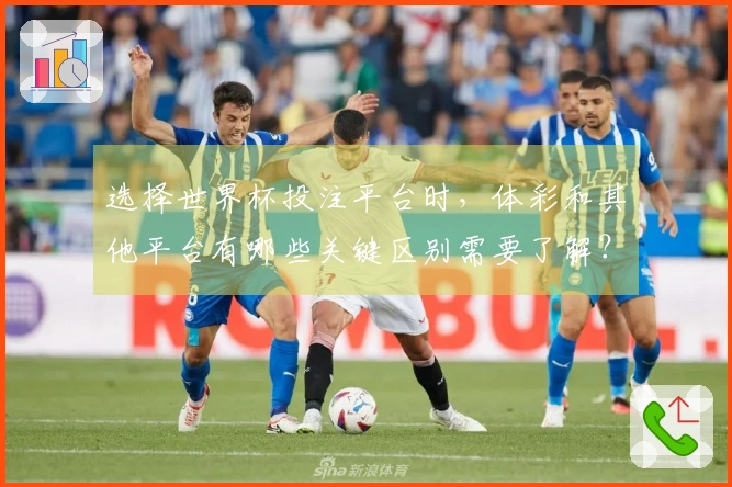 选择世界杯投注平台时，体彩和其他平台有哪些关键区别需要了解？