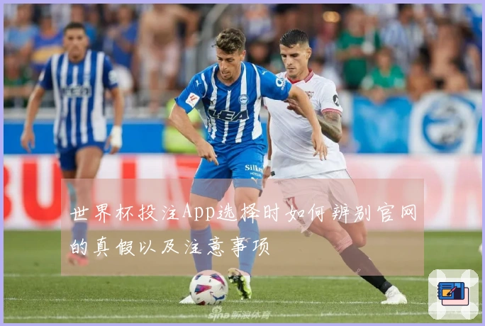 世界杯投注App选择时如何辨别官网的真假以及注意事项