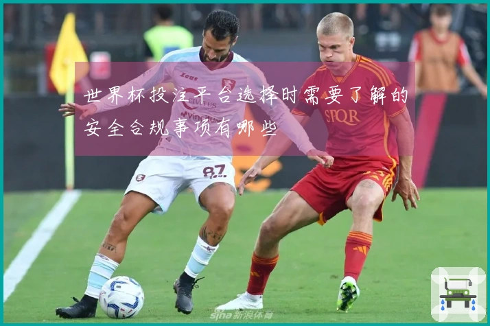 世界杯投注平台选择时需要了解的安全合规事项有哪些