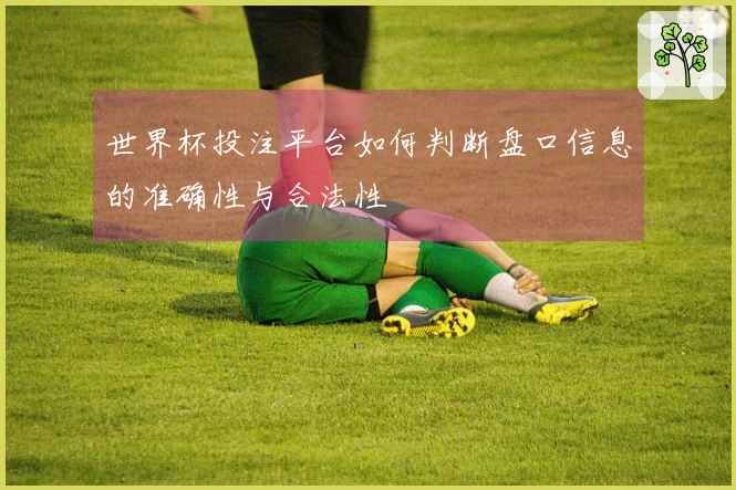 世界杯投注平台如何判断盘口信息的准确性与合法性