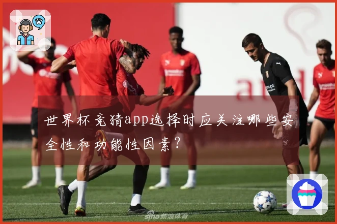世界杯竞猜app选择时应关注哪些安全性和功能性因素？