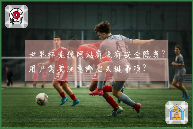 世界杯竞猜网站有没有安全隐患？用户需要注意哪些关键事项？