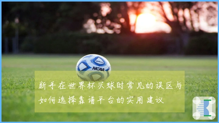 新手在世界杯买球时常见的误区与如何选择靠谱平台的实用建议