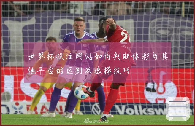 世界杯投注网站如何判断体彩与其他平台的区别及选择技巧