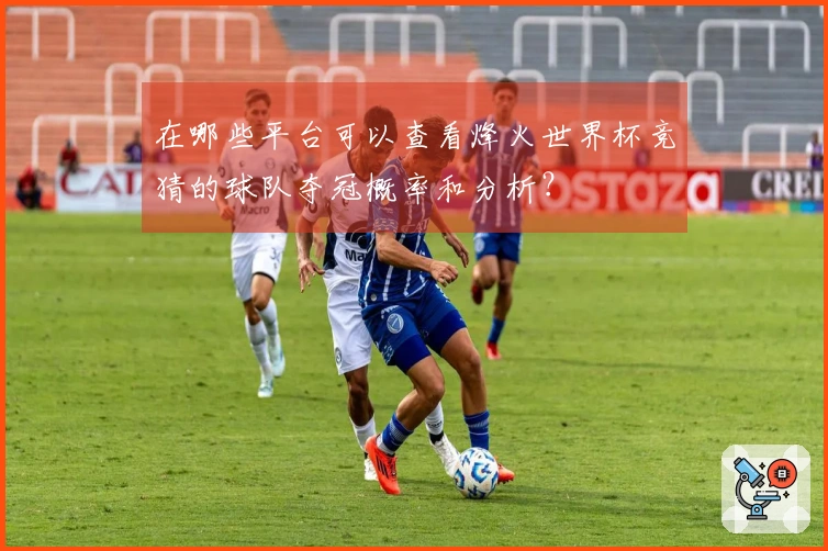 在哪些平台可以查看烽火世界杯竞猜的球队夺冠概率和分析？