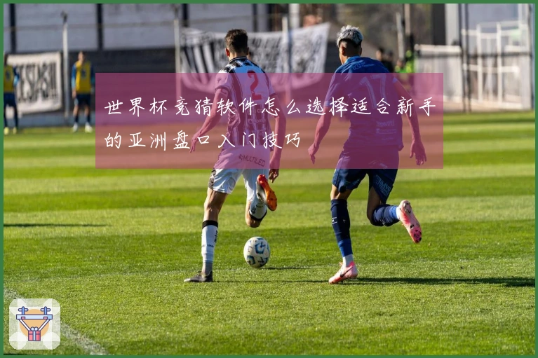 世界杯竞猜软件怎么选择适合新手的亚洲盘口入门技巧