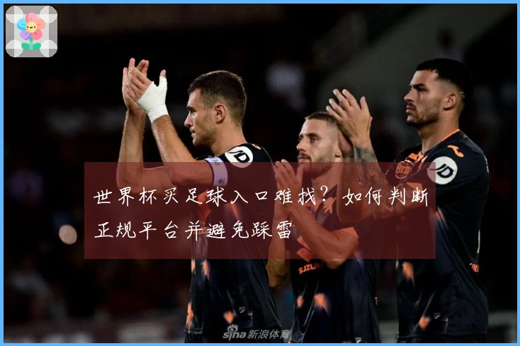 世界杯买足球入口难找?如何判断正规平台并避免踩雷