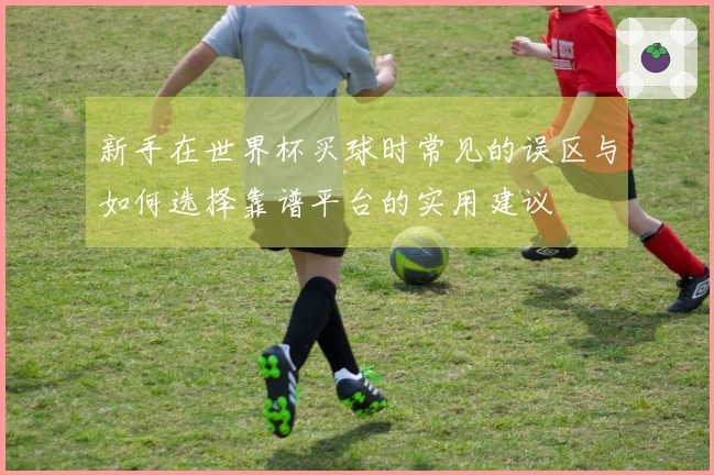 新手在世界杯买球时常见的误区与如何选择靠谱平台的实用建议