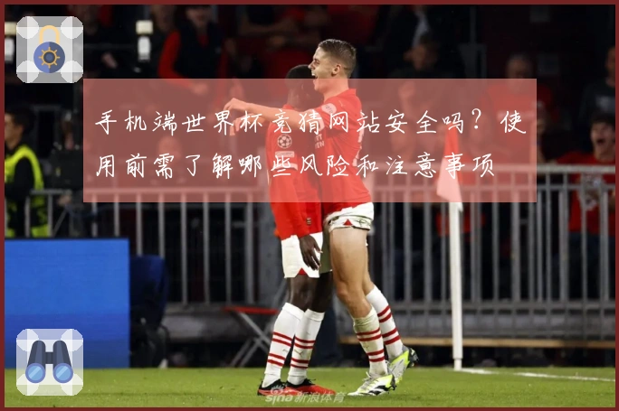 手机端世界杯竞猜网站安全吗？使用前需了解哪些风险和注意事项