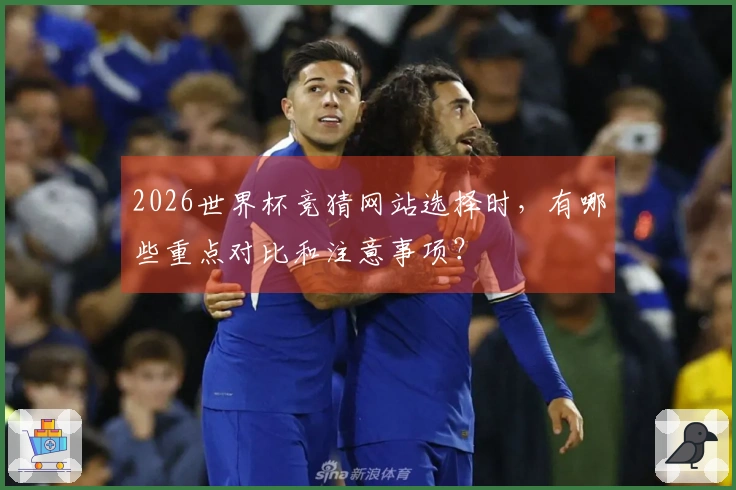 2026世界杯竞猜网站选择时，有哪些重点对比和注意事项？