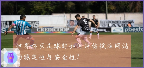 世界杯买足球时如何评估投注网站的稳定性与安全性？