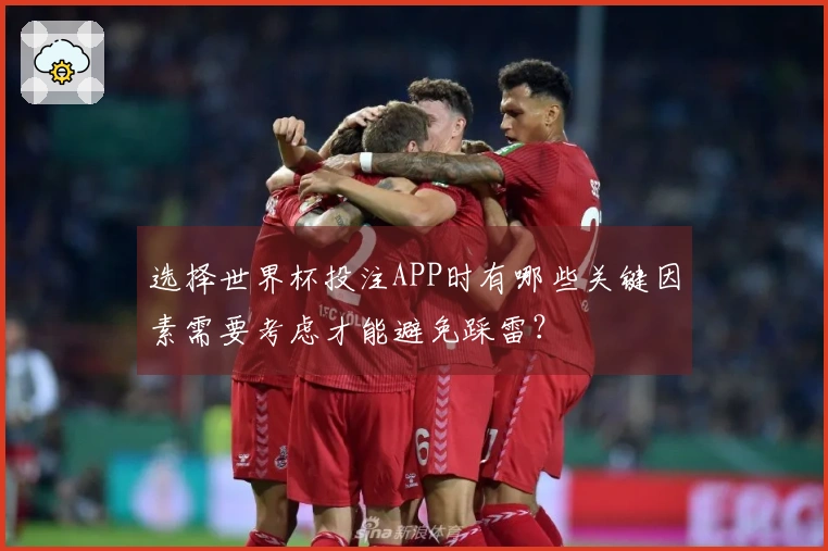 选择世界杯投注APP时有哪些关键因素需要考虑才能避免踩雷？