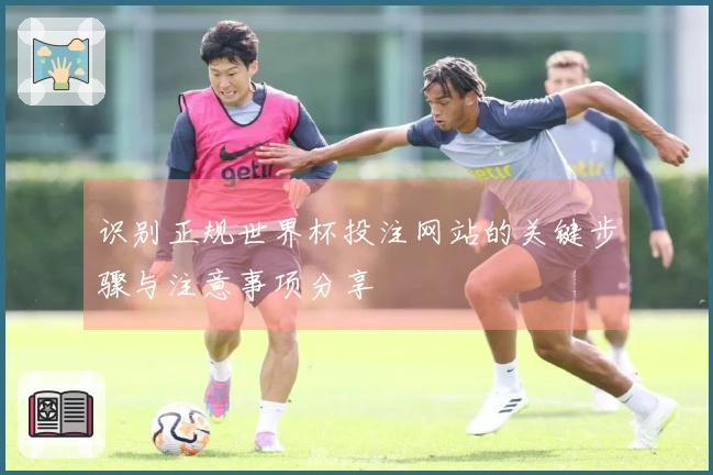 识别正规世界杯投注网站的关键步骤与注意事项分享