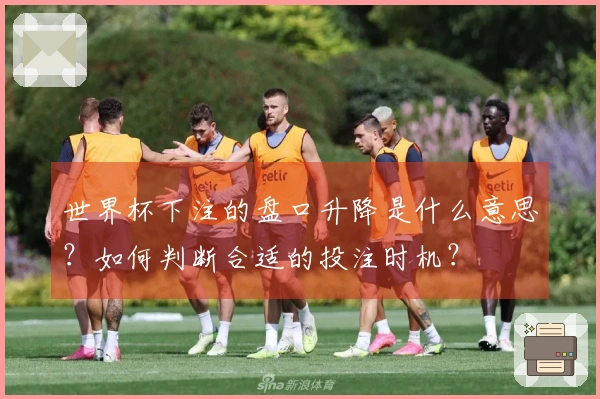 世界杯下注的盘口升降是什么意思？如何判断合适的投注时机？