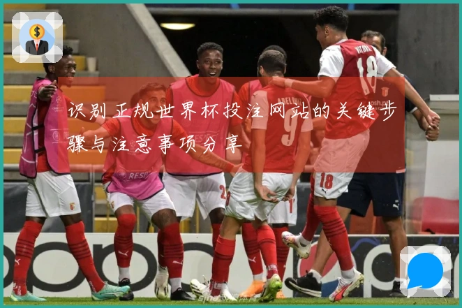 识别正规世界杯投注网站的关键步骤与注意事项分享