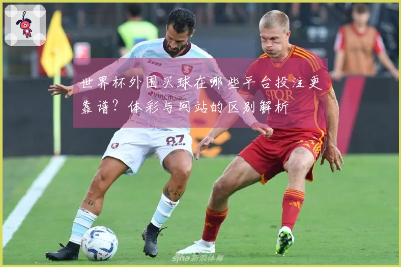 世界杯外围买球在哪些平台投注更靠谱?体彩与网站的区别解析