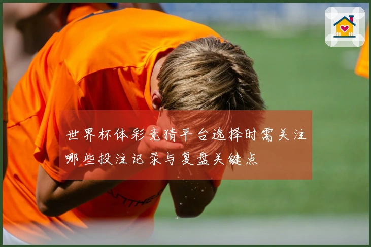 世界杯体彩竞猜平台选择时需关注哪些投注记录与复盘关键点