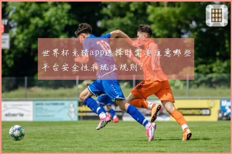 世界杯竞猜app选择时需要注意哪些平台安全性和玩法规则？