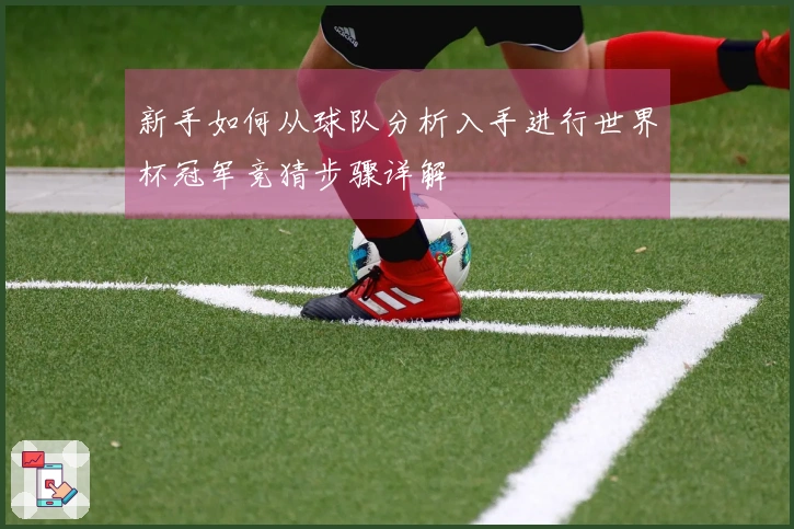新手如何从球队分析入手进行世界杯冠军竞猜步骤详解