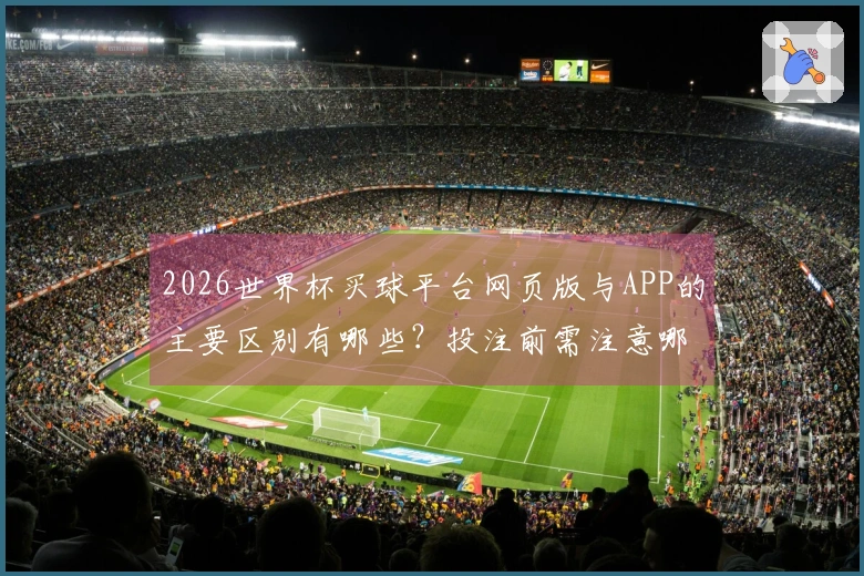 2026世界杯买球平台网页版与APP的主要区别有哪些？投注前需注意哪些风险？
