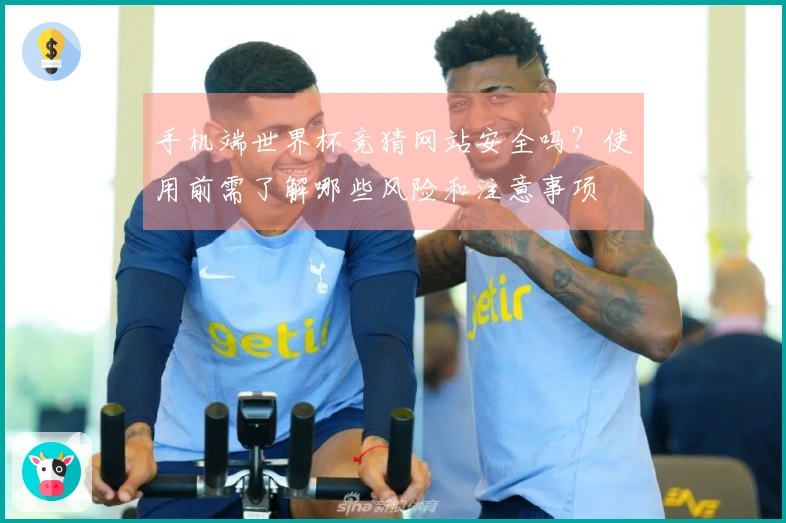 手机端世界杯竞猜网站安全吗？使用前需了解哪些风险和注意事项