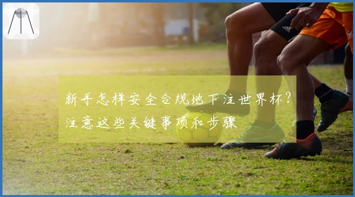 新手怎样安全合规地下注世界杯？注意这些关键事项和步骤