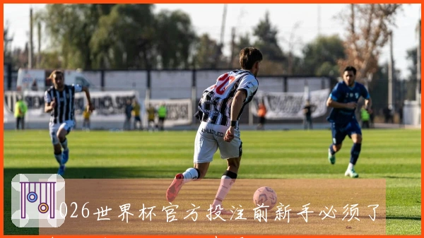 2026世界杯官方投注前新手必须了解的风险及下注步骤