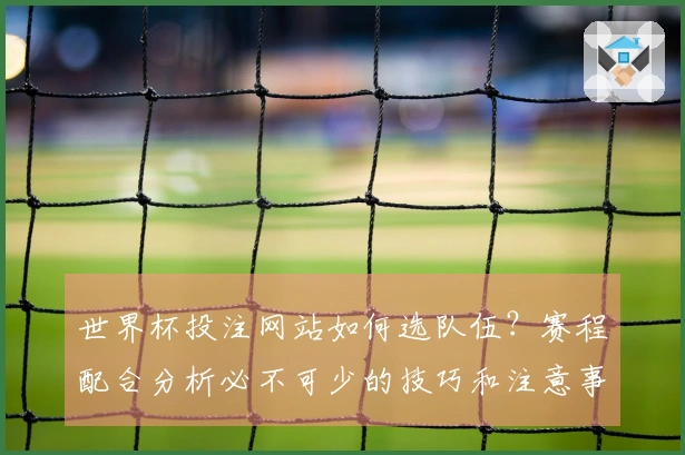 世界杯投注网站如何选队伍？赛程配合分析必不可少的技巧和注意事项